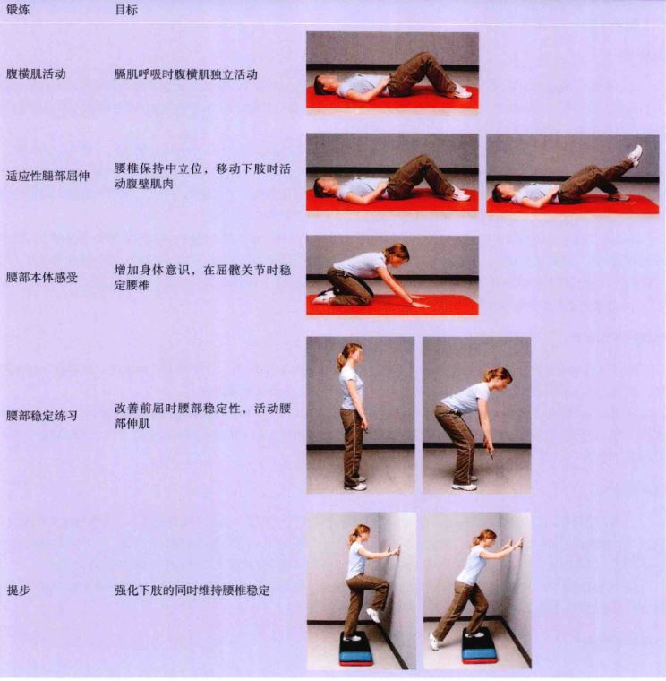 非特异性腰痛家庭锻炼计划建议