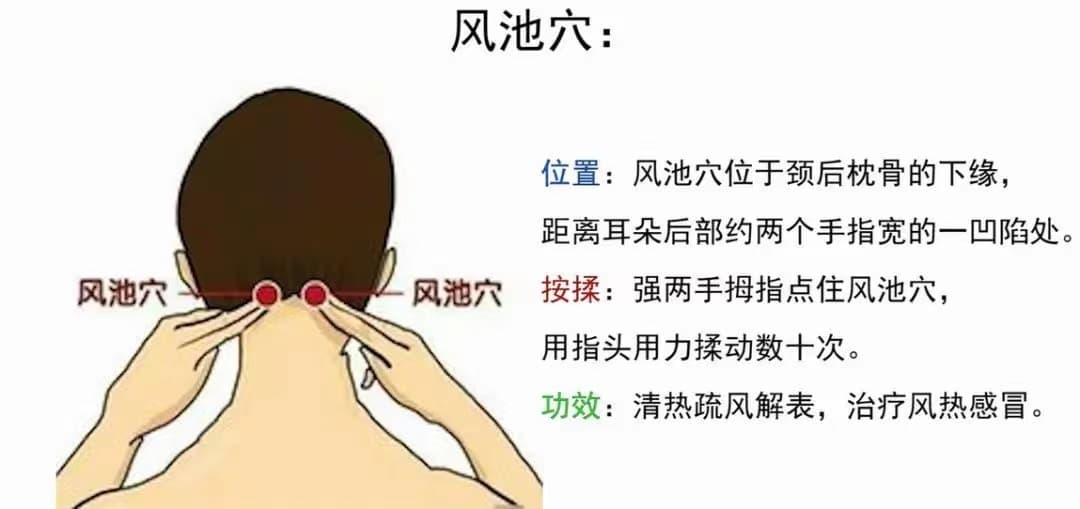 按揉风池穴