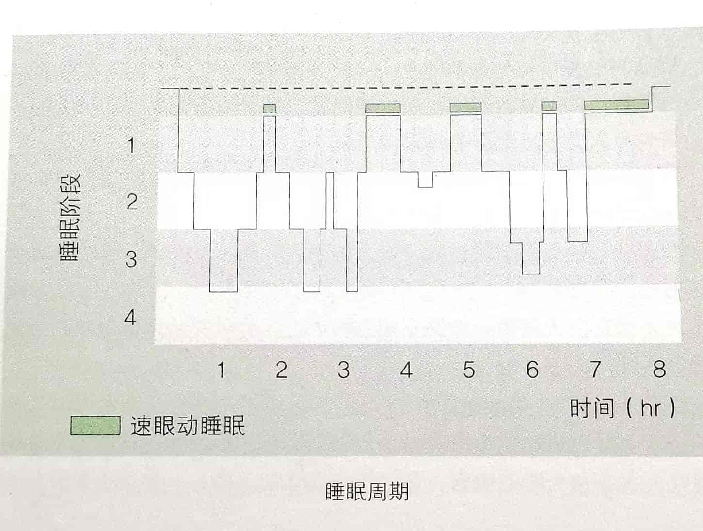 睡眠周期
