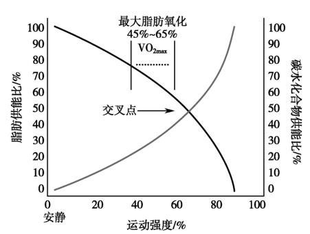 脂肪供能比例